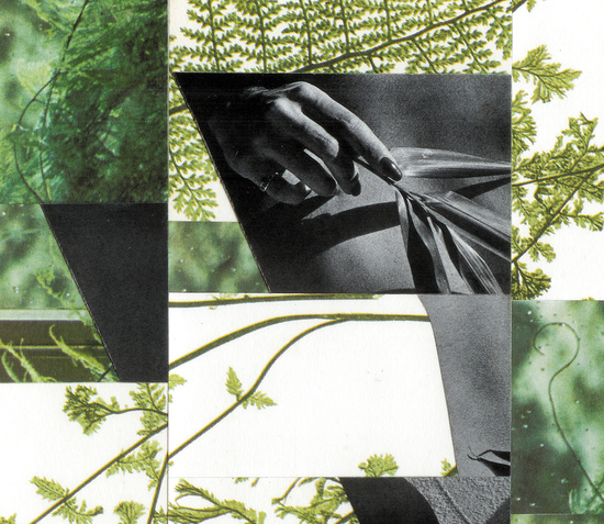 Collage by Stephanie Wild http://stephanie.me.uk/